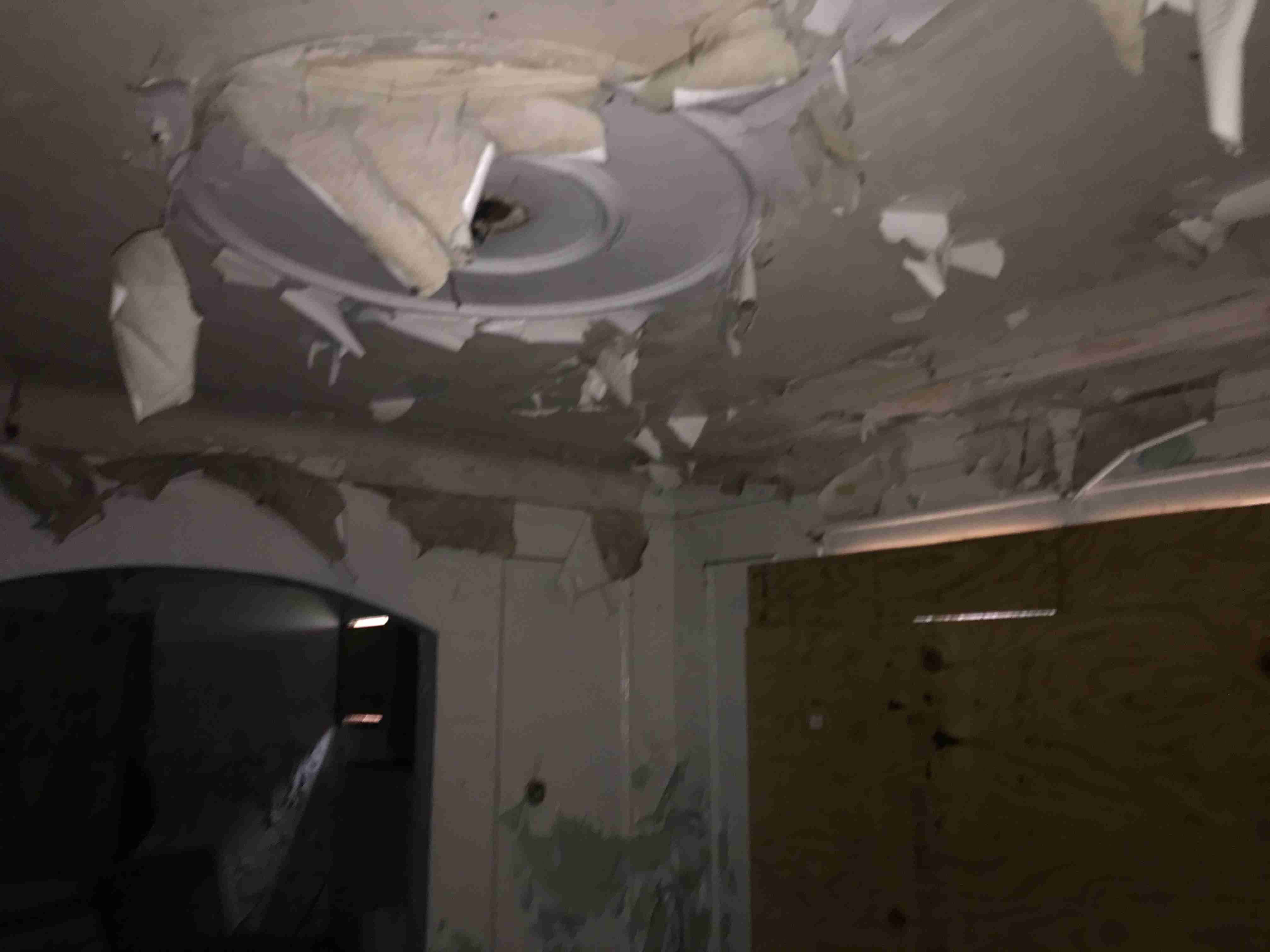 Photo Sep 09, 4 25 24 PM.jpg